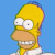 Homer02