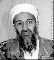 bin laden - wie bös escher?