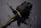 Blackrose